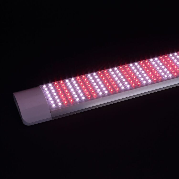 Фитолампа GR15 (220V, 50W, 840led)