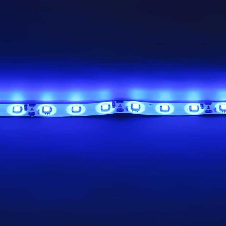 Лента 3528 60 Led IP65 Blue (эконом класс)